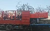 Chinese-Made Concrete Floor Leveling Machine Wins Repeat Orders From Indian C...